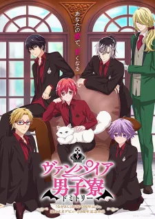 Poster de Vampire Dormitory